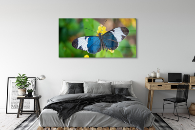 Foto op glas Kleurrijke vlinder op bloemen