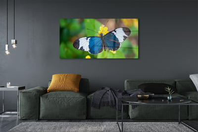 Foto op glas Kleurrijke vlinder op bloemen
