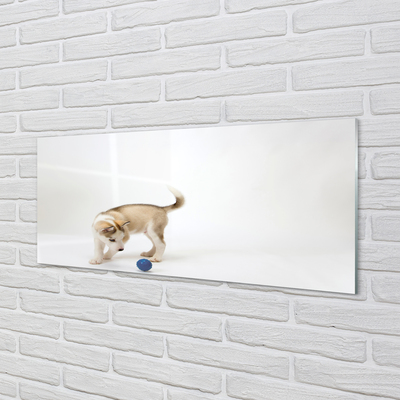 Glas schilderij Een hond spelen