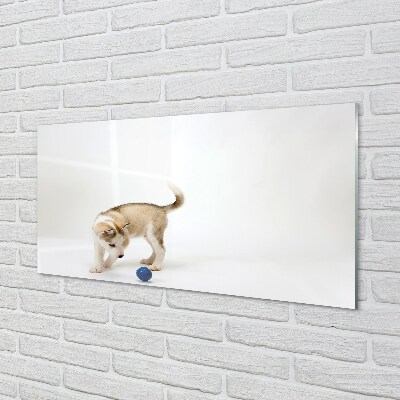 Glas schilderij Een hond spelen