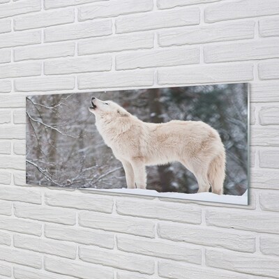Foto op glas Wolf forest winter