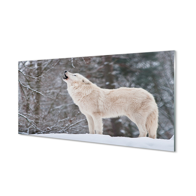 Foto op glas Wolf forest winter