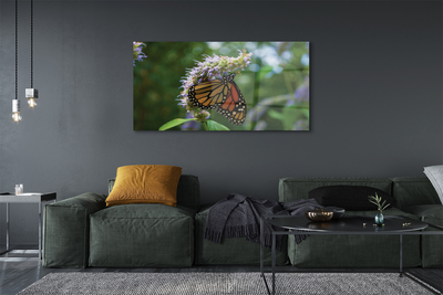 Foto op glas Kleurrijke vlinderbloem