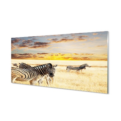 Glas schilderij Zebra veldzonsondergang