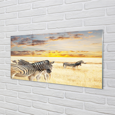 Glas schilderij Zebra veldzonsondergang