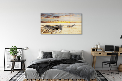 Glas schilderij Zebra veldzonsondergang