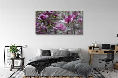 Glas schilderij Paars magnolia