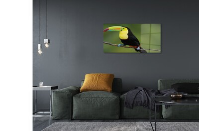 Foto op glas Kleurrijke papegaai op een tak