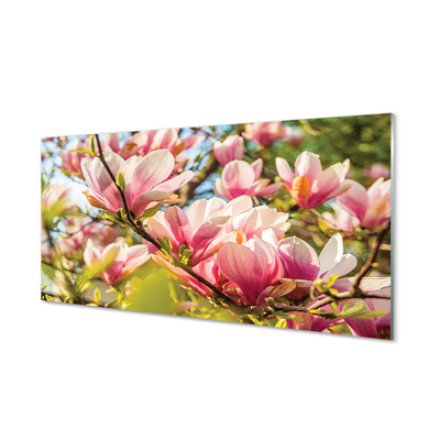 Glas schilderij Roze magnolia