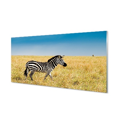 Glas schilderij Zebra-veld