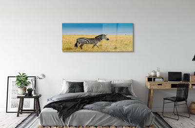 Glas schilderij Zebra-veld