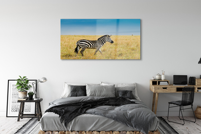 Glas schilderij Zebra-veld