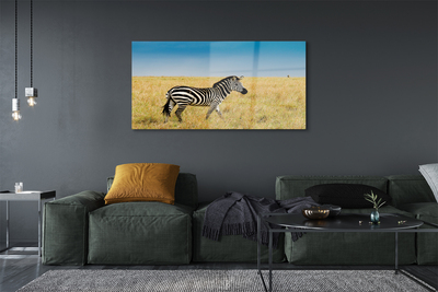 Glas schilderij Zebra-veld