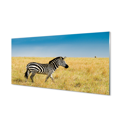 Glas schilderij Zebra-veld