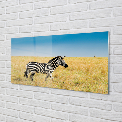 Glas schilderij Zebra-veld