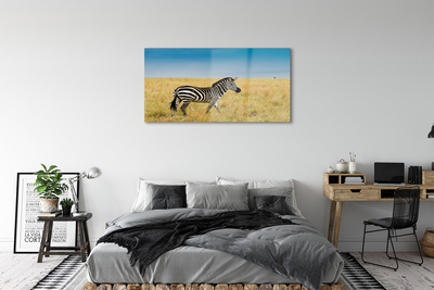 Glas schilderij Zebra-veld