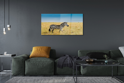 Glas schilderij Zebra-veld