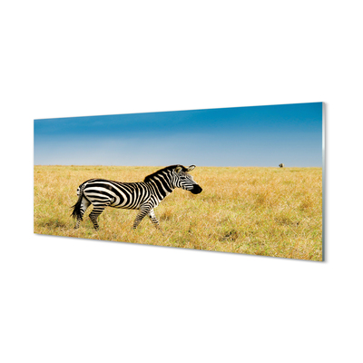 Glas schilderij Zebra-veld