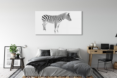 Glas schilderij Geschilderde zebra