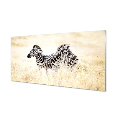 Glas schilderij Zebra-veld