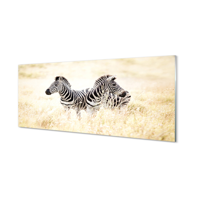 Glas schilderij Zebra-veld