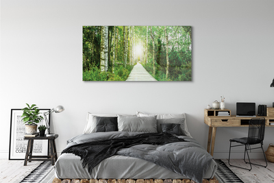 Glas schilderij Road forest tree birch