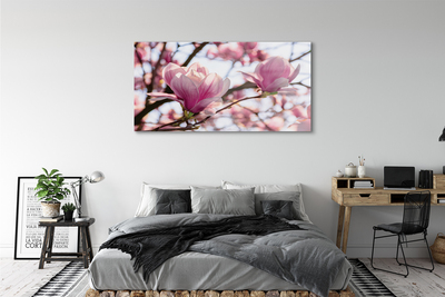 Glas schilderij Magnolia bomen