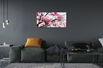 Glas schilderij Magnolia bomen