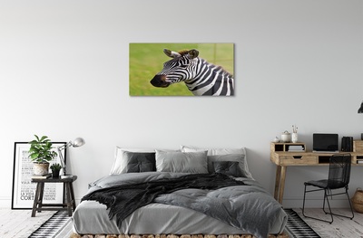 Glas schilderij Zebrapad