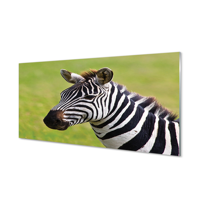 Glas schilderij Zebrapad