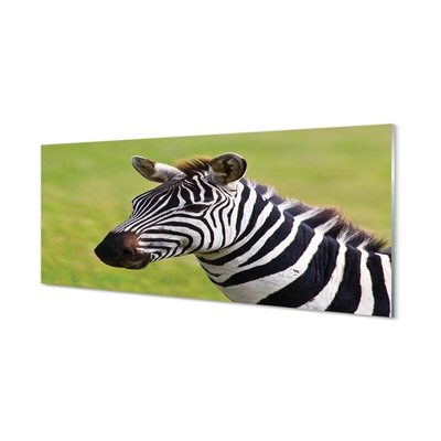 Glas schilderij Zebrapad