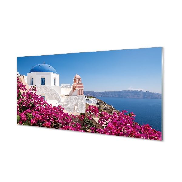 Foto op glas Griekenland bloemen zee gebouwen
