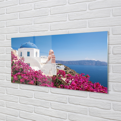 Foto op glas Griekenland bloemen zee gebouwen