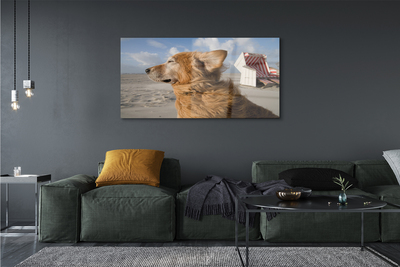 Glas schilderij Bruin hond strand