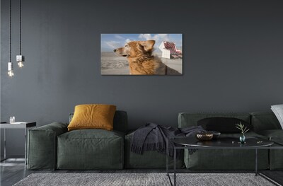 Glas schilderij Bruin hond strand