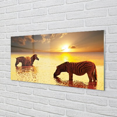 Glas schilderij Zebra water sunset