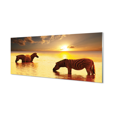 Glas schilderij Zebra water sunset