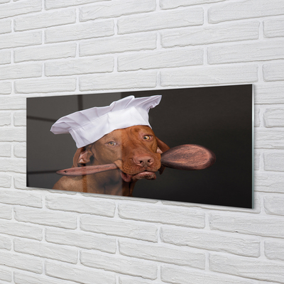 Glas schilderij Chef-kok hond