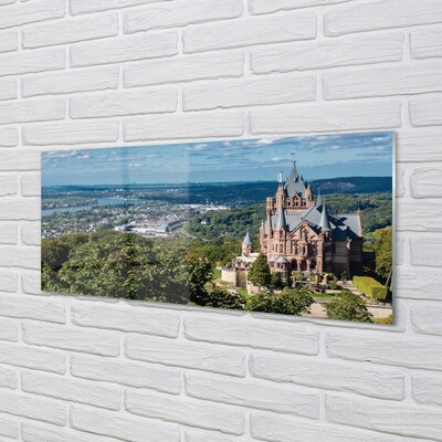 Foto op glas Duitsland panorama city castle