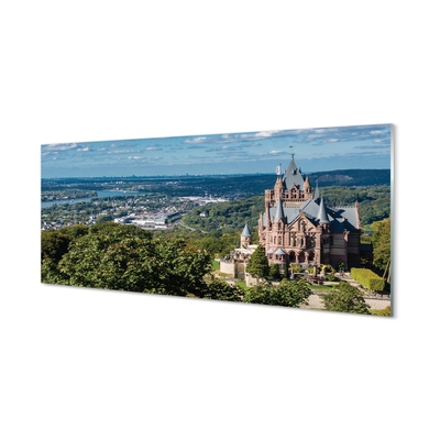 Foto op glas Duitsland panorama city castle