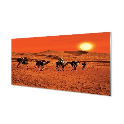 Schilderij op glas Kamelen mensen woestijn zon lucht