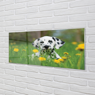 Glas schilderij Dog weide