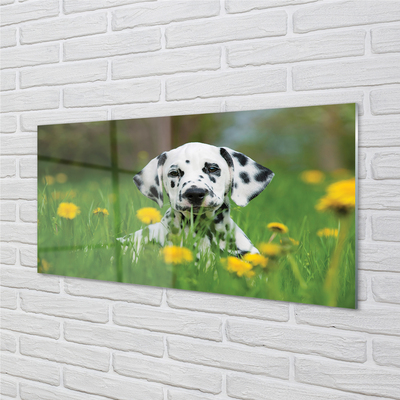 Glas schilderij Dog weide