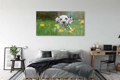 Glas schilderij Dog weide