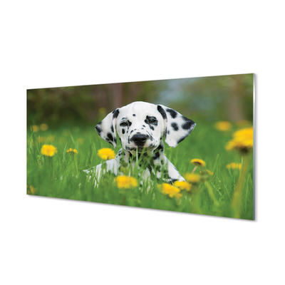 Glas schilderij Dog weide