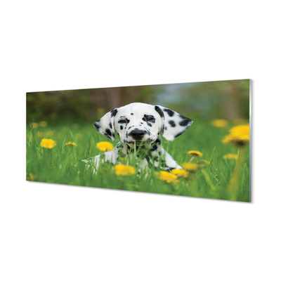 Glas schilderij Dog weide