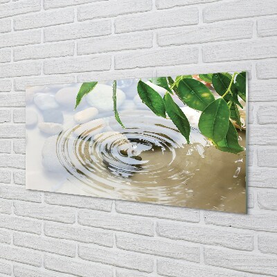 Foto in glas Waterdruppel splash