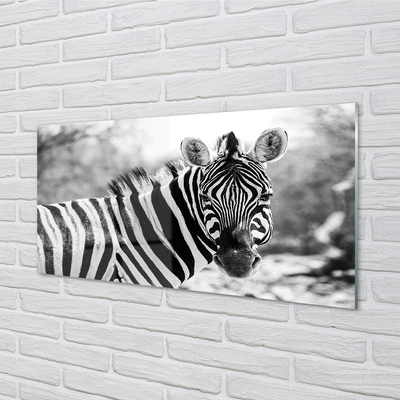 Glas schilderij Retro zebra