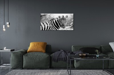 Glas schilderij Retro zebra