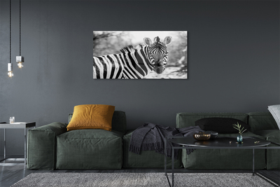 Glas schilderij Retro zebra